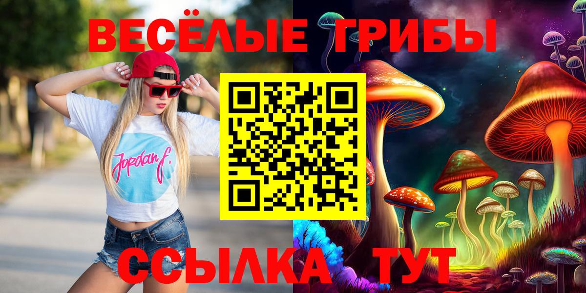 Галлюциногенные грибы Cubensis Красногорск